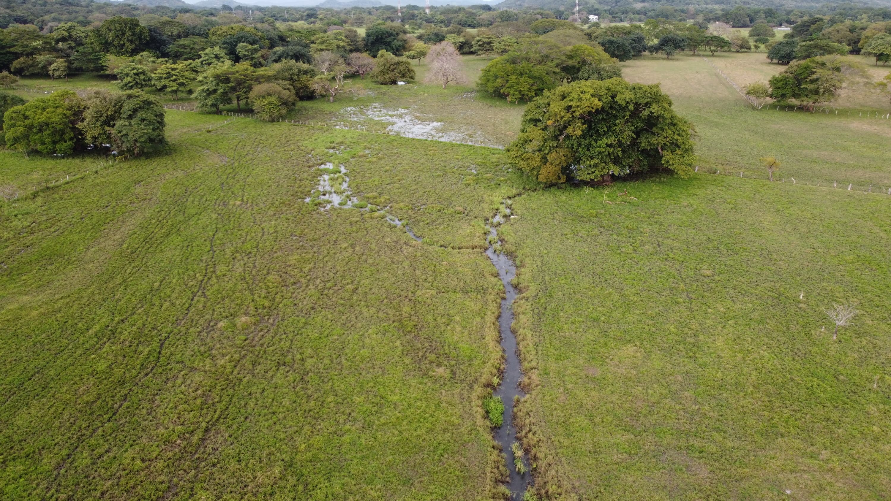 Aerial view of land being stabilized with vetiver hedgerows on a hillside.
