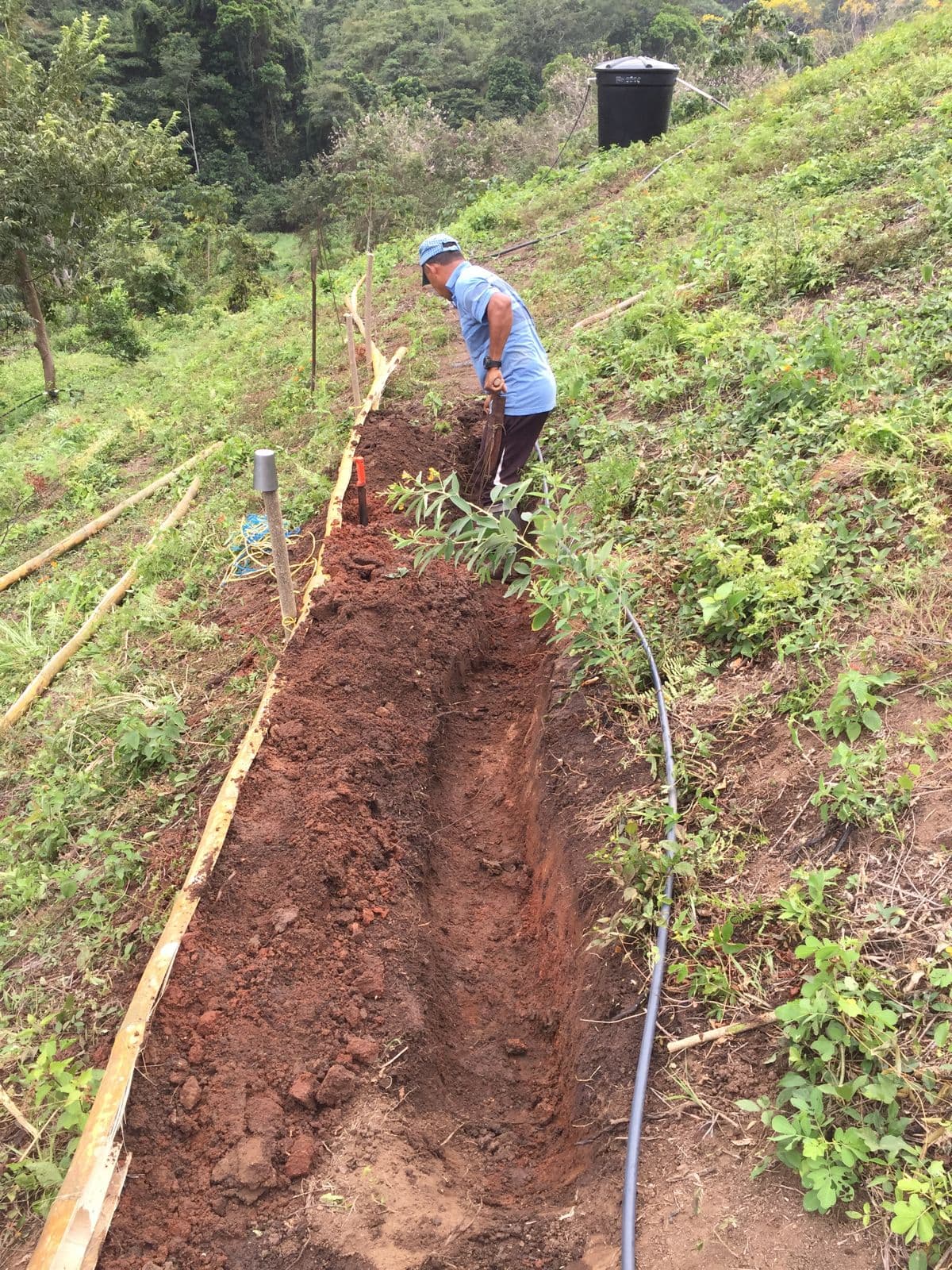 Field support photo showing vetiver work with partners and community members.