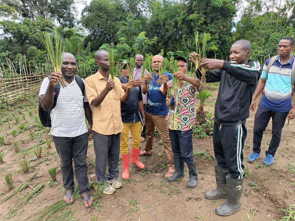 Équipe de terrain en RDC tenant des plants de vétiver sur un site de démonstration.