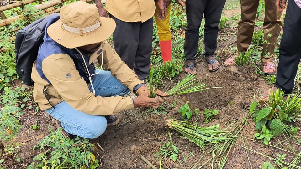 Photo documentaire montrant la récupération des terres et l appui au terrain.